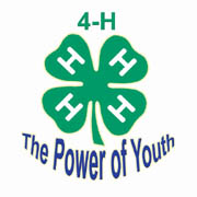sm-powerofyouthclover.jpg